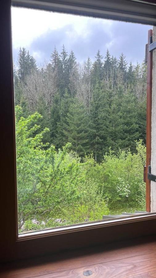 L'Ermitage De Meyriat Villa Brenod Exteriör bild