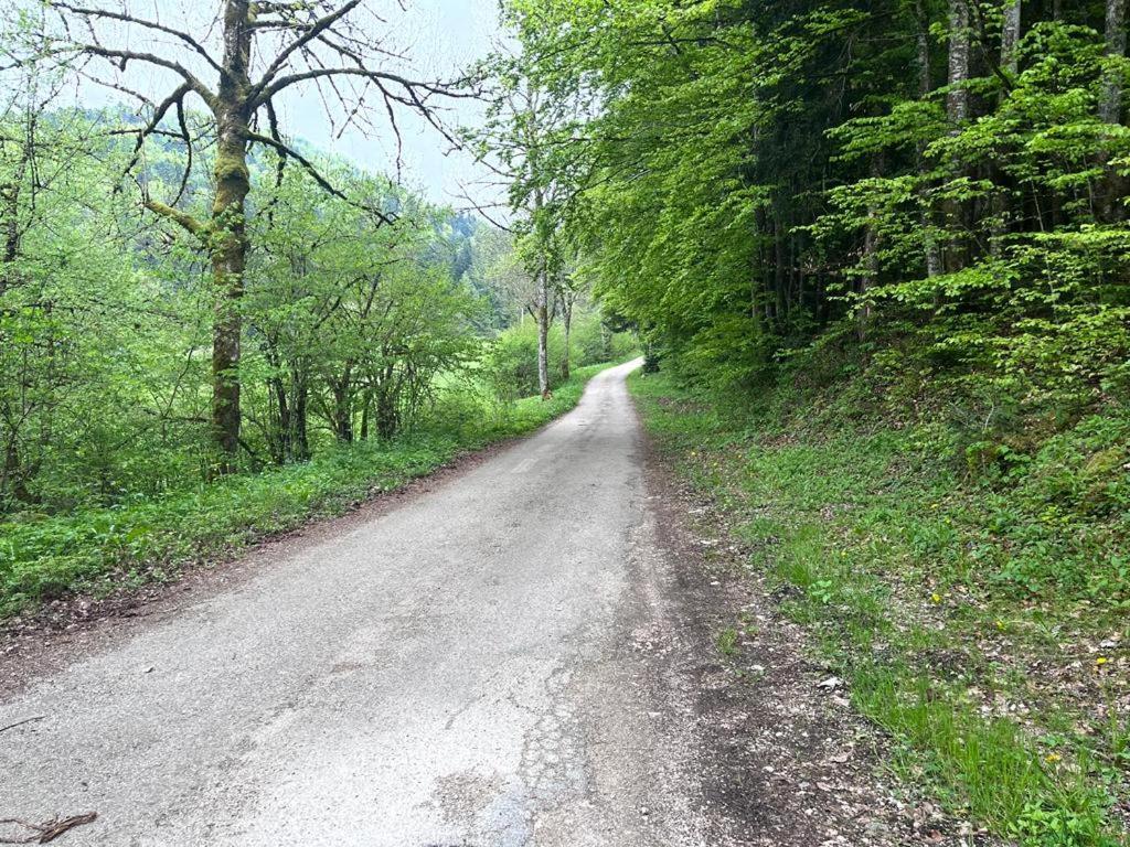 L'Ermitage De Meyriat Villa Brenod Exteriör bild
